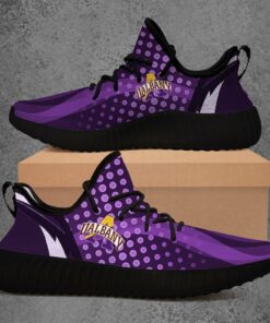 Albany Great Danes NCAA Shoes Sneakers yz2