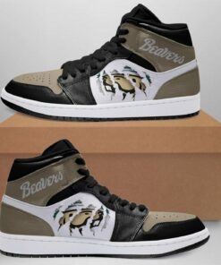 Bemidji State Beavers Shoes Air Jd Retro Sneakers V391