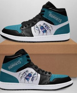 Charlotte Hornets Basketball Shoes Air Jd Retro Sneakers V648